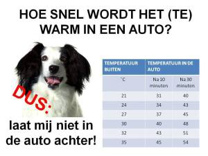 Warm in de auto