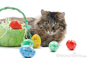 cat-easter-eggs-23601136