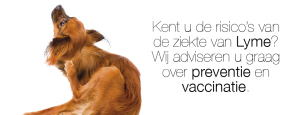 Ziekte van Lyme - preventief vaccin